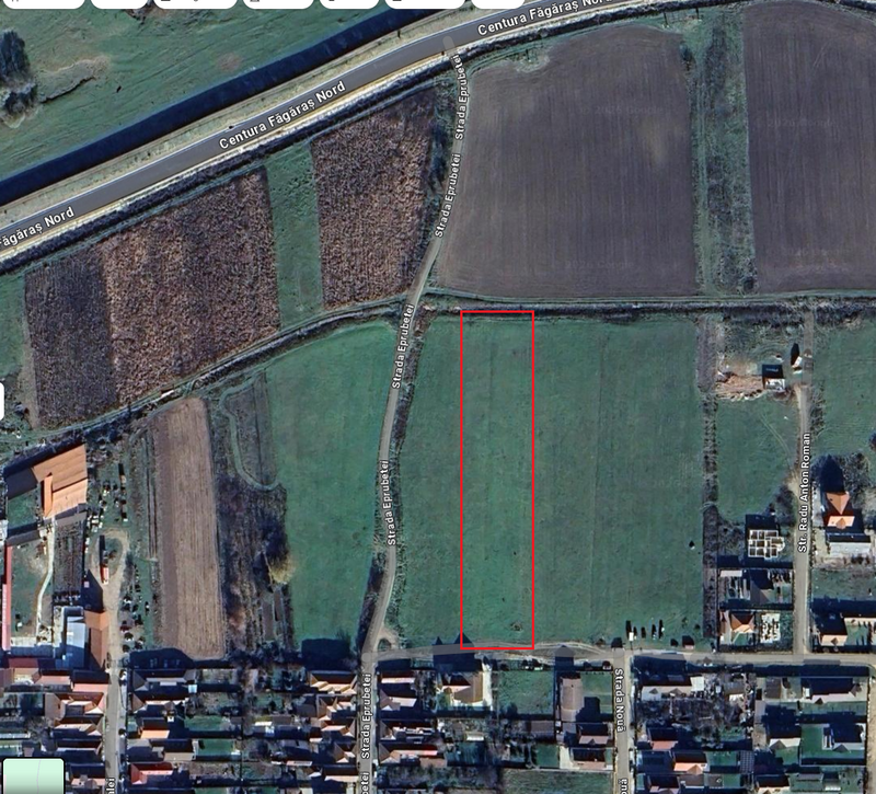 Cartier Meltea, Fagaras.